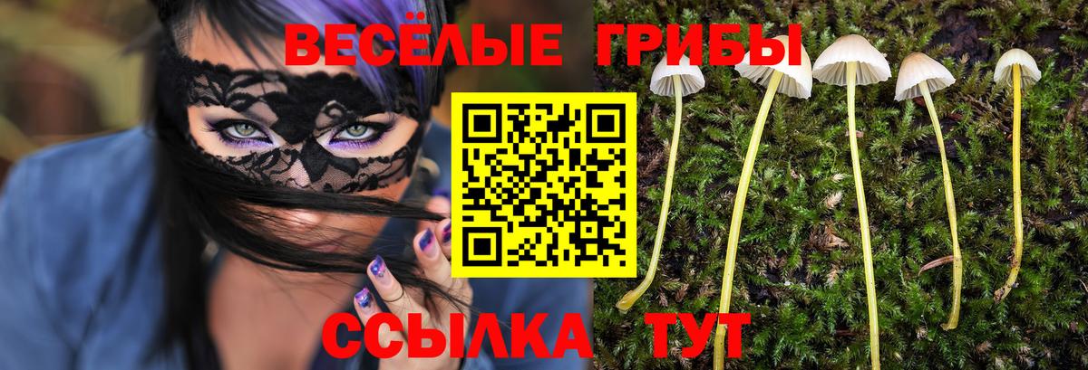 Галлюциногенные грибы Magic Shrooms  Вход с VPN  Галлюциногенные грибы GOLDEN TEACHER  хочу   Ливны 
