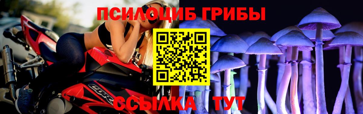Псилоцибиновые грибы Magic Shrooms Ливны